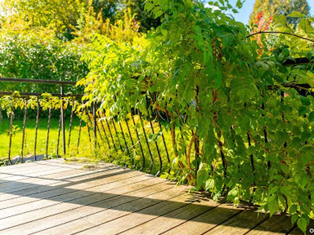 Vente Maison 5 pièces 196 m2 Montfaucon