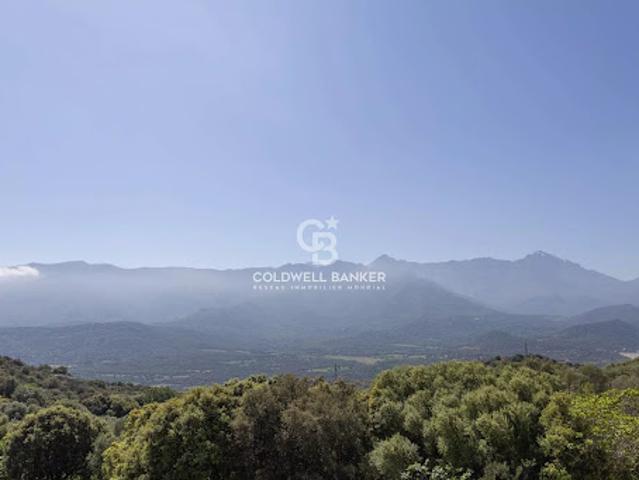 Vente Maison 5 pièces 198 m2 Monticello