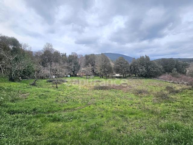 Vente Maison 5 pièces 193 m2 Omessa