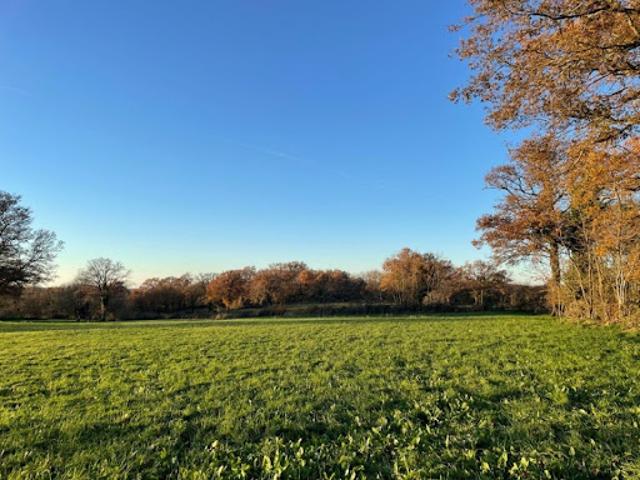 Vente Maison 5 pièces 200 m2 Montierchaume