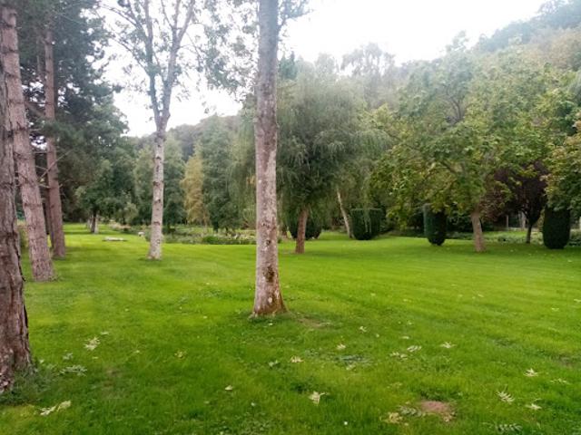 Vente Maison 5 pièces 214 m2 Cany Barville