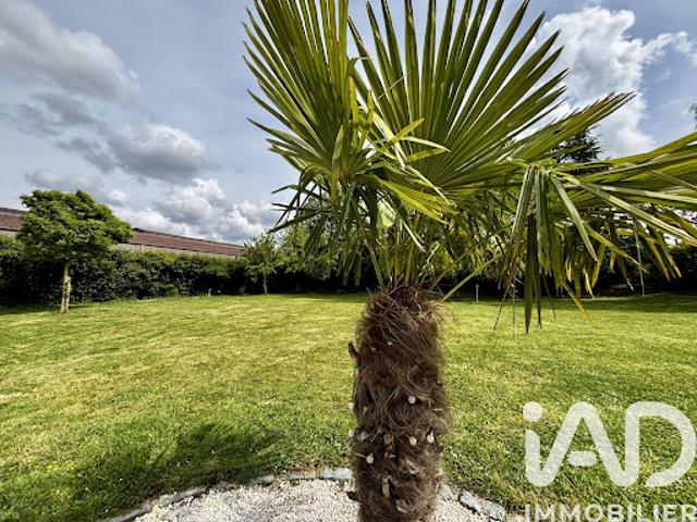 Vente Maison 5 pièces 216 m2 Houtkerque