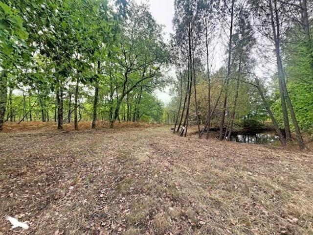 Vente Maison 5 pièces 233.72 m2 Cavignac