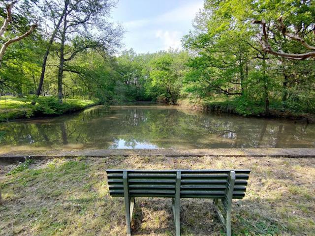 Vente Maison 5 pièces 328 m2 Saint Sever
