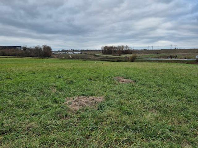 Vente Maison 5 pièces 73 m2 Neuville sur Vannes
