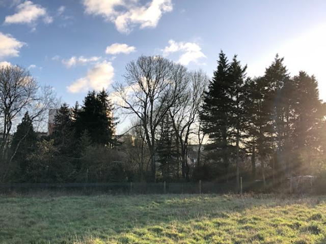 Vente Maison 5 pièces 75 m2 Saint Ouen en Belin