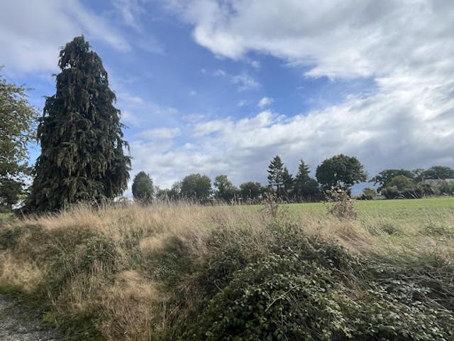 Vente Maison 5 pièces 75 m2 Tinchebray