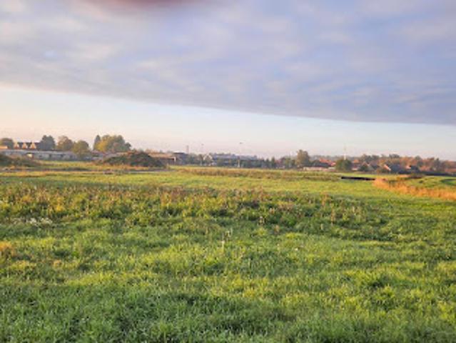 Vente Maison 5 pièces 85 m2 Arleux