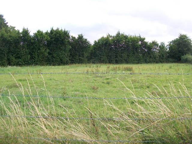 Vente Maison 5 pièces 85 m2 Bonlier