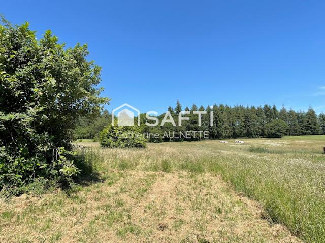 Vente Maison 5 pièces 91 m2 Renac