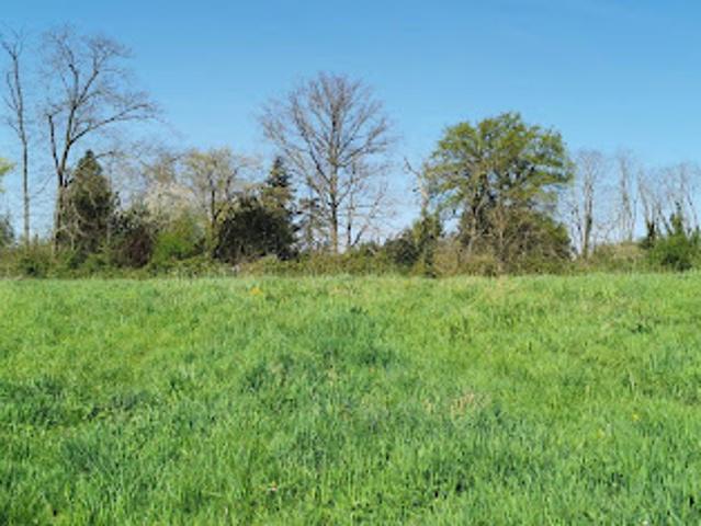 Vente Maison 5 pièces 97 m2 Varennes sur Allier