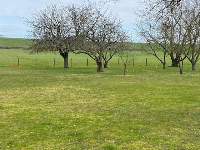 Vente Maison 5 pièces 99 m2 Chalonnes sur Loire