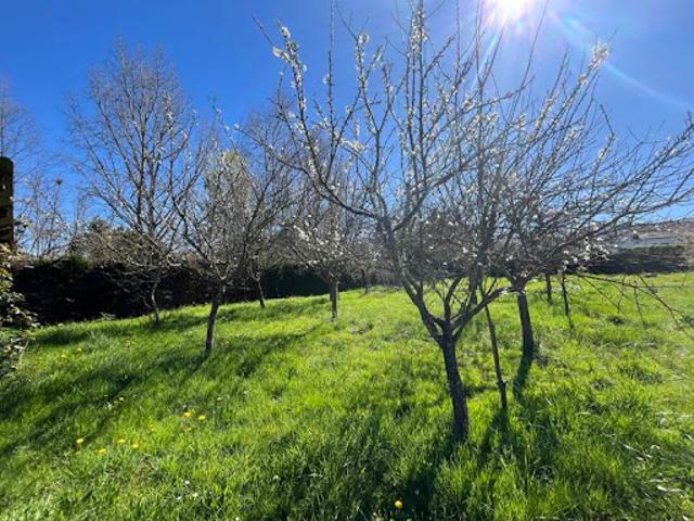 Vente Maison 5 pièces 107 m2 Le Buisson de Cadouin