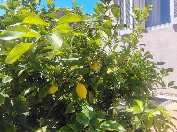 Vente maison 5 pièces Marseille 7e 13