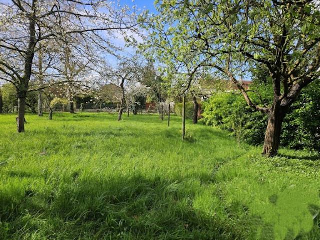 Vente Maison 6 pièces 105 m2 Saint Leu la Forêt