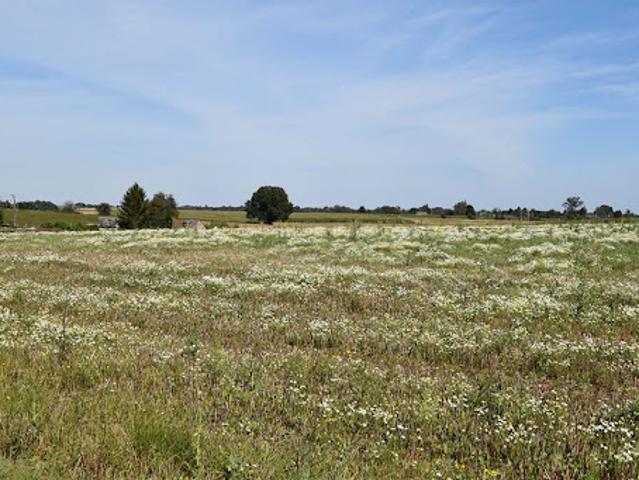 Vente Maison 6 pièces 114 m2 Amfreville les Champs
