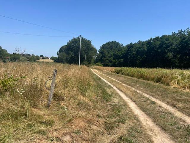 Vente Maison 6 pièces 114 m2 Bazas