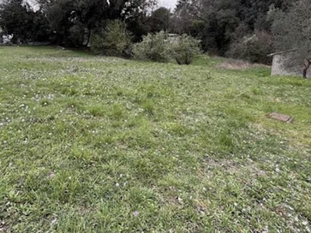Vente Maison 6 pièces 114 m2 Coupvray