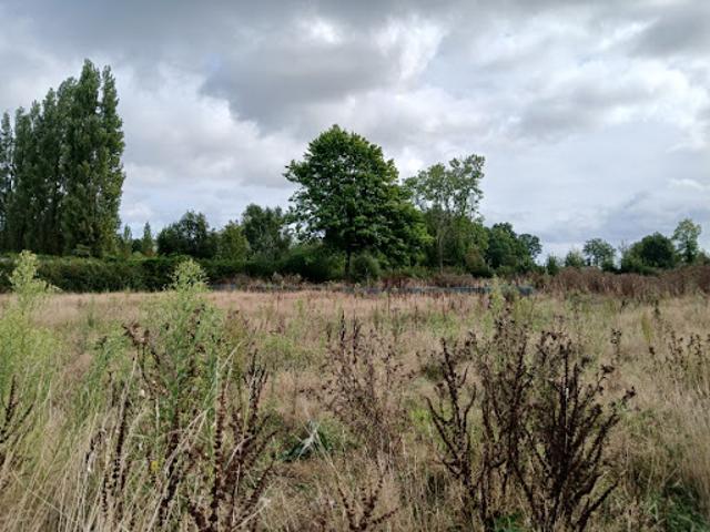 Vente Maison 6 pièces 114 m2 Saint Gatien des Bois