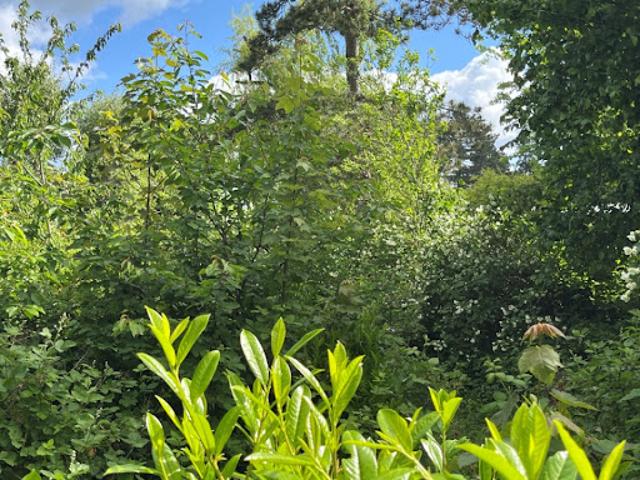 Vente Maison 6 pièces 115 m2 Abbeville
