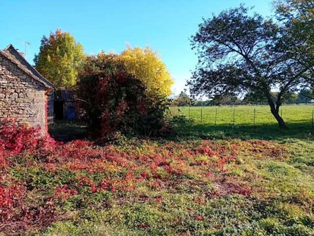 Vente Maison 6 pièces 115 m2 Beauregard