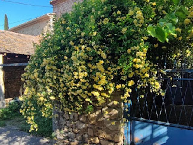 Vente Maison 6 pièces 115 m2 Bourdic