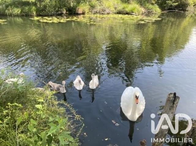 Vente Maison 6 pièces 115 m2 Donnemain Saint Mamès