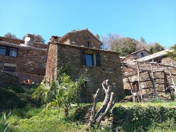 Méditerranée, La Languedocienne Montpellier, Maurin, Hérault, Languedoc-Roussillon