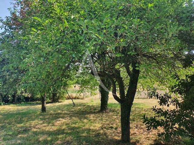 Vente Maison 6 pièces 117 m2 Saint Aignan