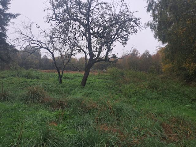 Vente Maison 6 pièces 110 m2 Benayes