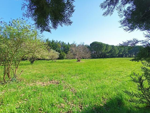 Vente Maison 6 pièces 110 m2 Saint Georges les Bains