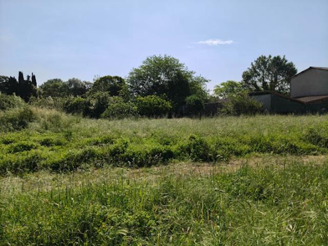 Vente Maison 6 pièces 110 m2 Toulouse