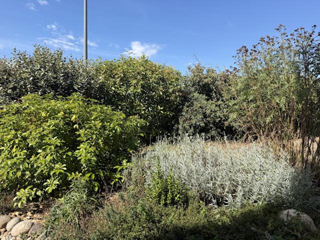 Vente Maison 6 pièces 113 m2 Romans sur isere
