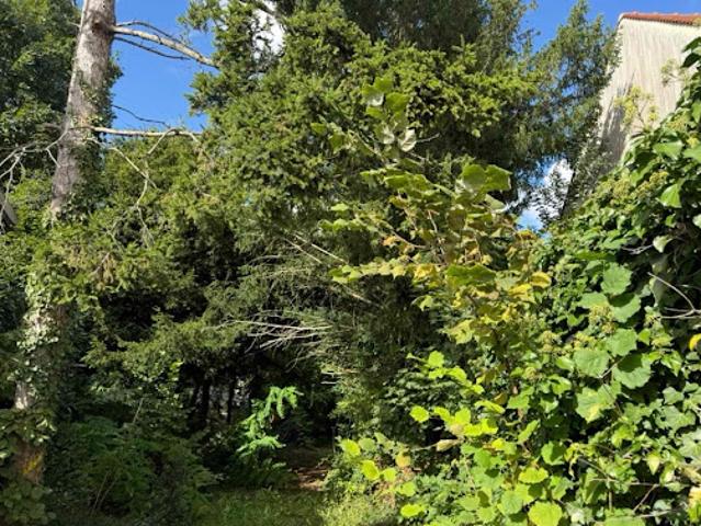 Vente Maison 6 pièces 124 m2 Saint Michel sur Orge
