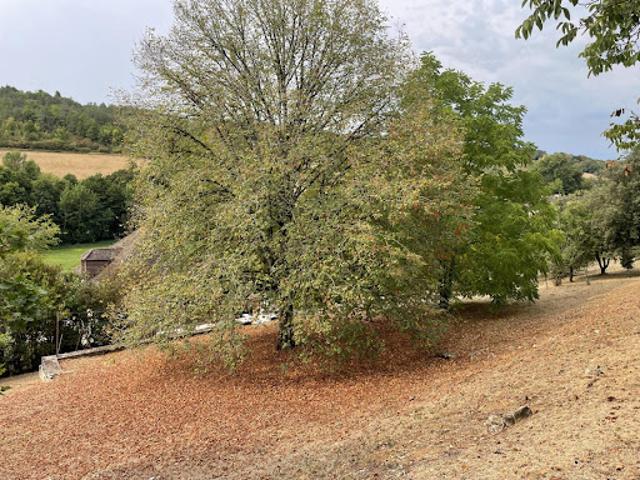 Vente Maison 6 pièces 127 m2 Montignac