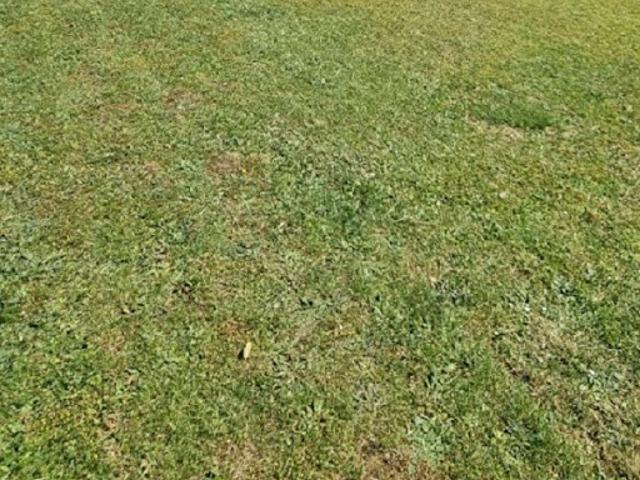 Vente Maison 6 pièces 128 m2 Thorigny sur Marne