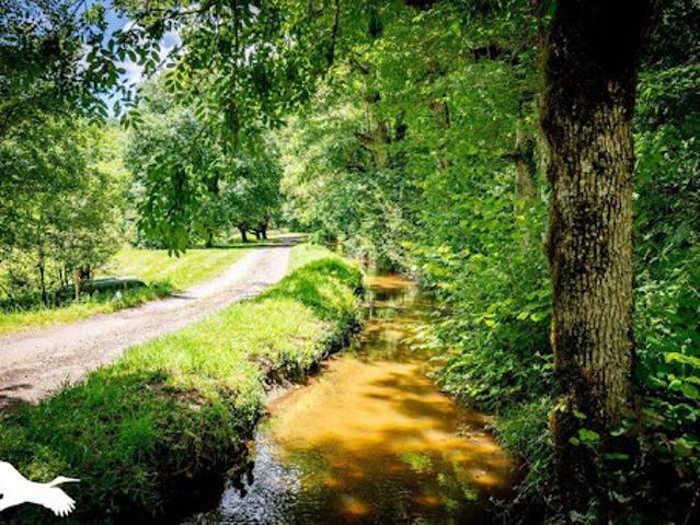 Vente Maison 6 pièces 134 m2 Albussac