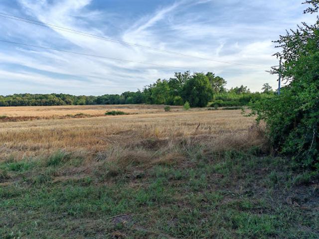 Vente Maison 6 pièces 134 m2 Bazas