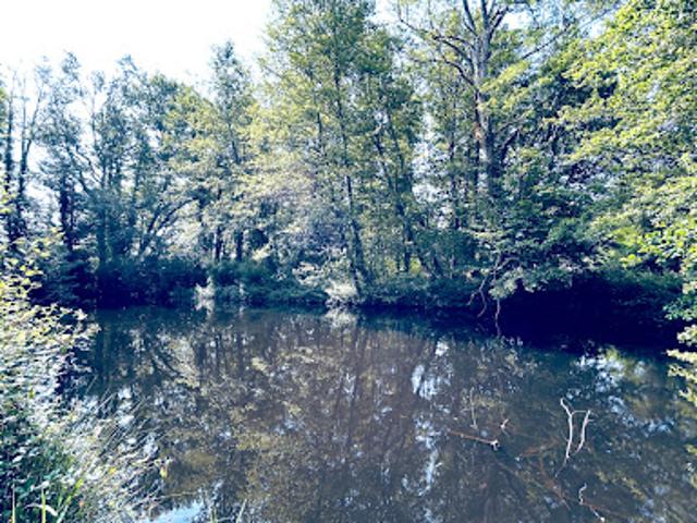 Vente Maison 6 pièces 138.32 m2 Coutras
