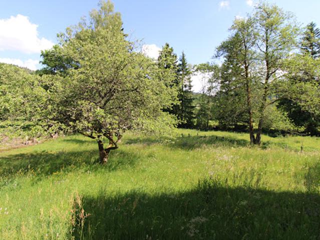 Vente Maison 6 pièces 139 m2 Gerardmer