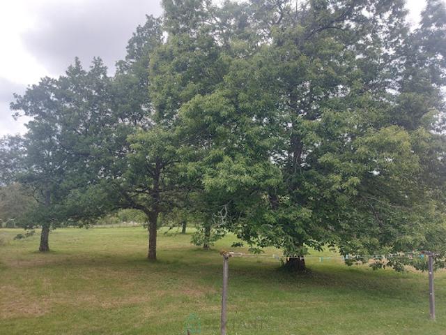 Vente Maison 6 pièces 139 m2 Saint Pierre de Frugie