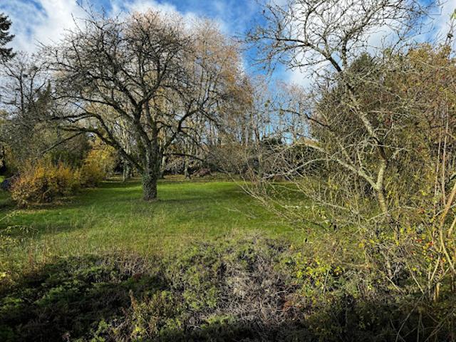 Vente Maison 6 pièces 145 m2 Montreuil aux Lions