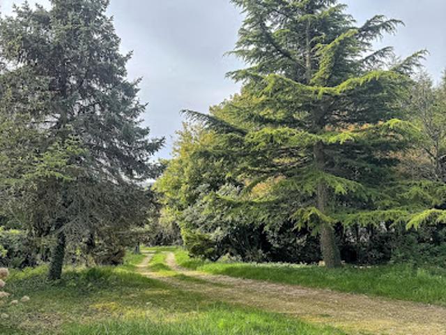 Vente Maison 6 pièces 145 m2 Blangy sur Bresle