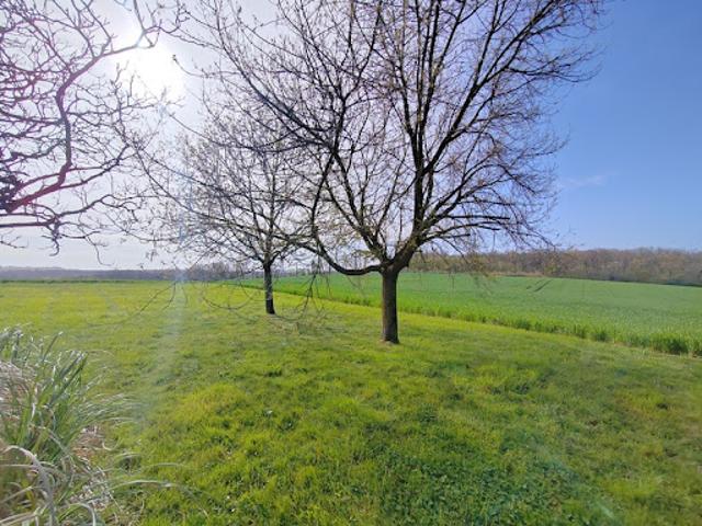 Vente Maison 6 pièces 140 m2 Auch