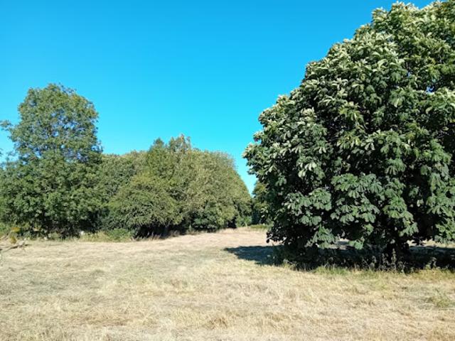 Vente Maison 6 pièces 140 m2 Domqueur