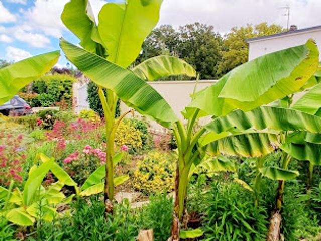 Vente Maison 6 pièces 154 m2 Marmagne