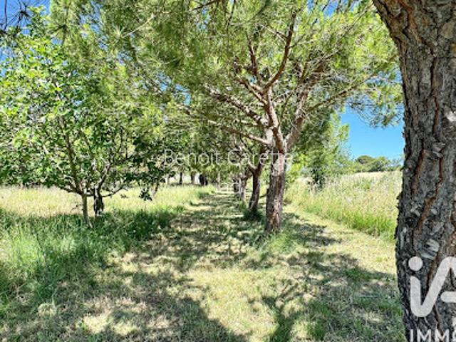 Vente Maison 6 pièces 156 m2 Peyriac de Mer