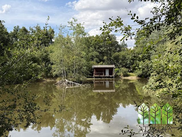 Vente Maison 6 pièces 150 m2 Bétête