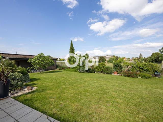 Vente Maison 6 pièces 151 m2 Vitry en Artois