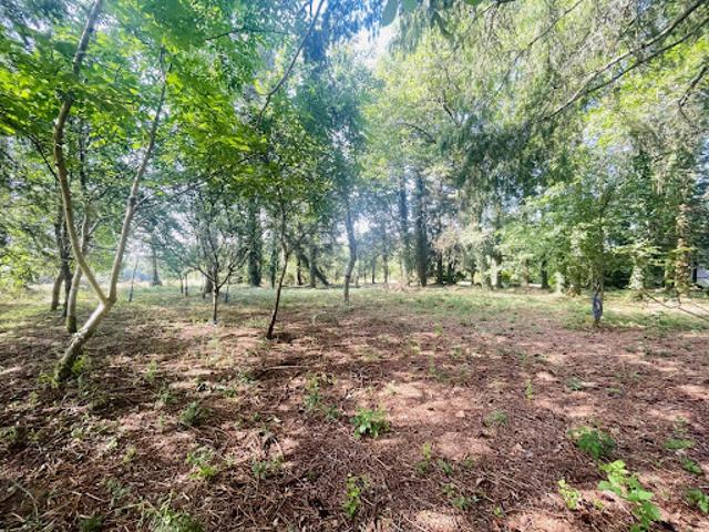 Vente Maison 6 pièces 152 m2 Chirac